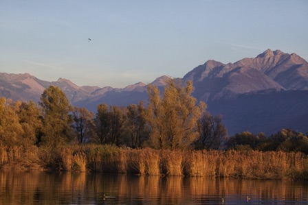 Bolle di Magadino (CH)